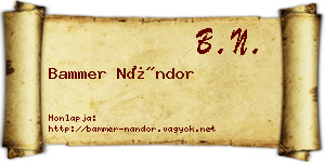 Bammer Nándor névjegykártya
